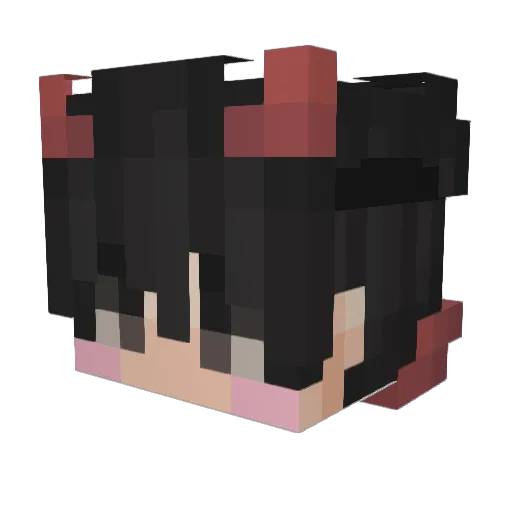 RicePorridge Minecraft avatar head, 3D render