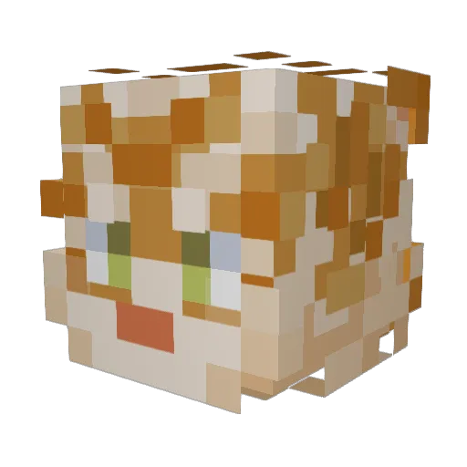 RiceRice291 Minecraft avatar head, 3D render