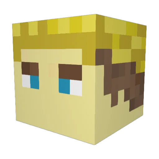 RiceRiceBaby1 Minecraft avatar head, 3D render
