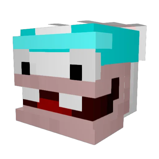 RiceWott_TJ Minecraft avatar head, 3D render