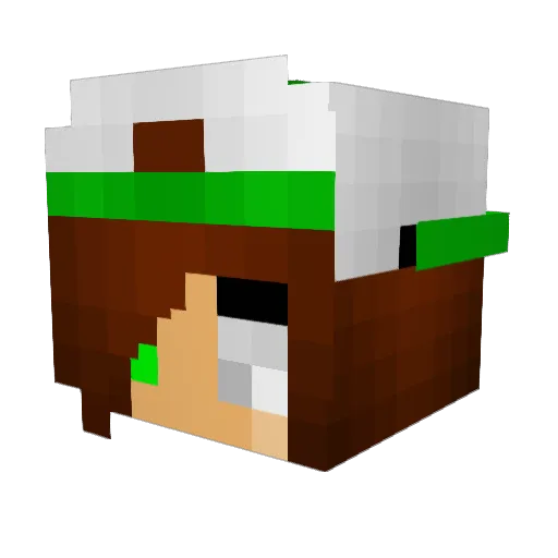 RiceYLeche Minecraft avatar head, 3D render