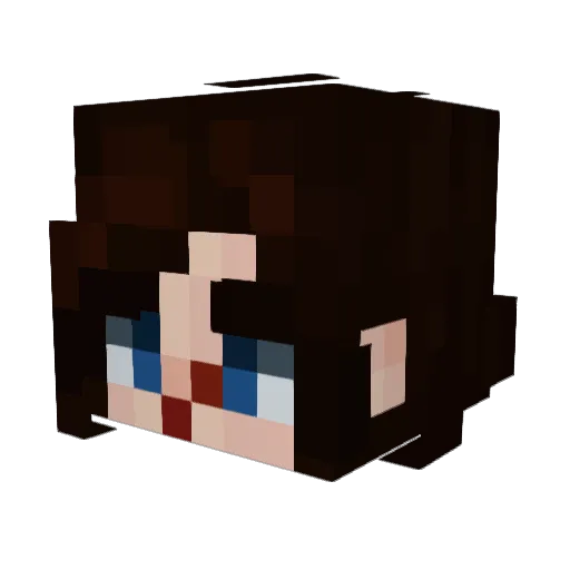 Rice_Krispys Minecraft avatar head, 3D render