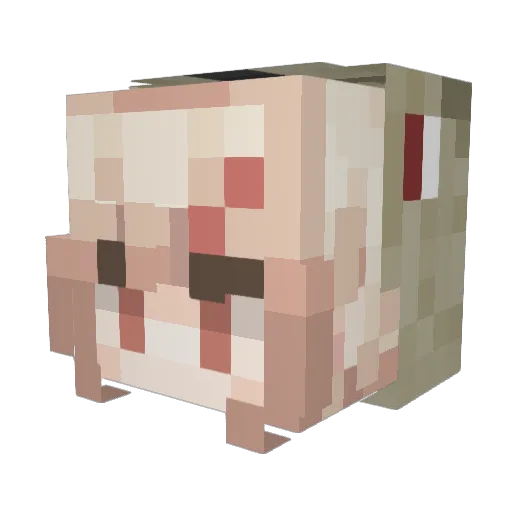 Rice_Muncherr Minecraft avatar head, 3D render