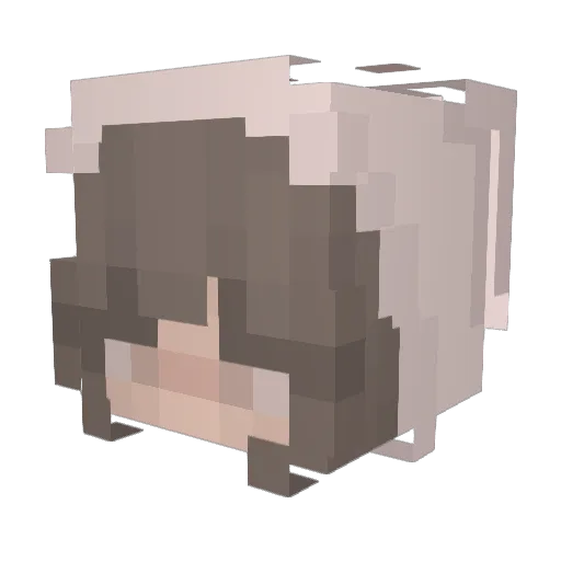 Rice_cooker47 Minecraft avatar head, 3D render