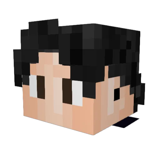 Rice_dot Minecraft avatar head, 3D render