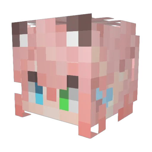 Riceboll12 Minecraft avatar head, 3D render