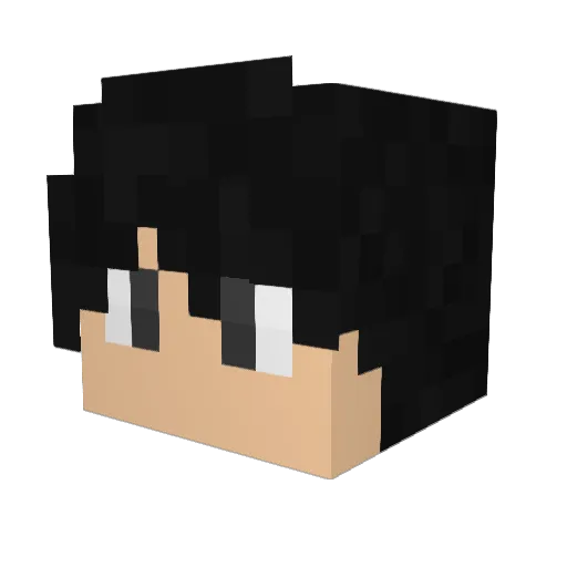 Riceil Minecraft avatar head, 3D render