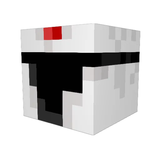Rices Minecraft avatar head, 3D render
