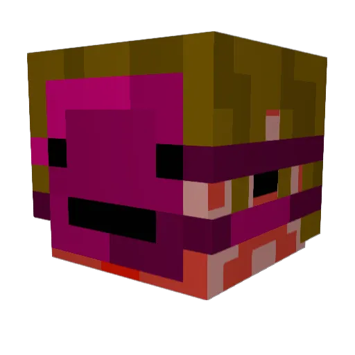 Riceteeth Minecraft avatar head, 3D render