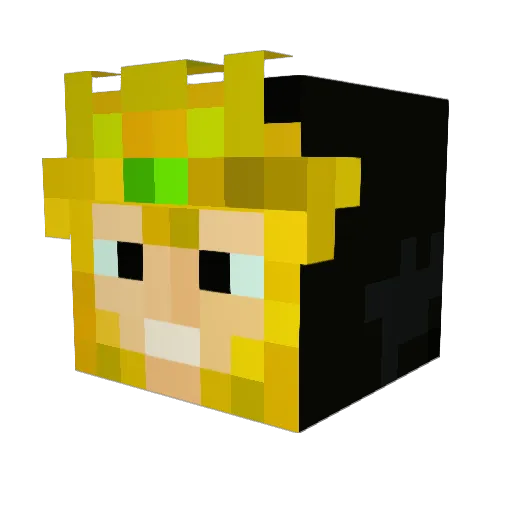 Riceturd Minecraft avatar head, 3D render