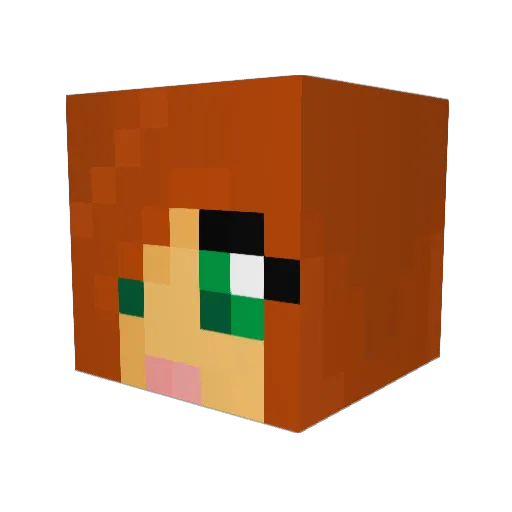 Ricey31 Minecraft avatar head, 3D render