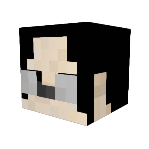 RichHomieJason Minecraft avatar head, 3D render