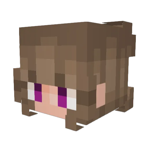 RichMCGamer22 Minecraft avatar head, 3D render