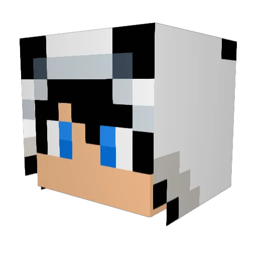 RichManiac33 Minecraft avatar head, 3D render