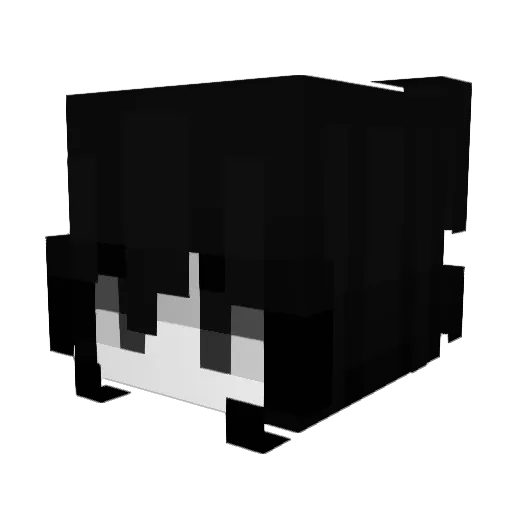 RichNBlind Minecraft avatar head, 3D render