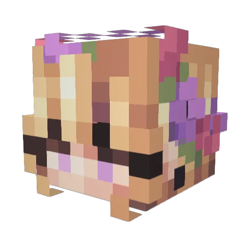 RichRey Minecraft avatar head, 3D render