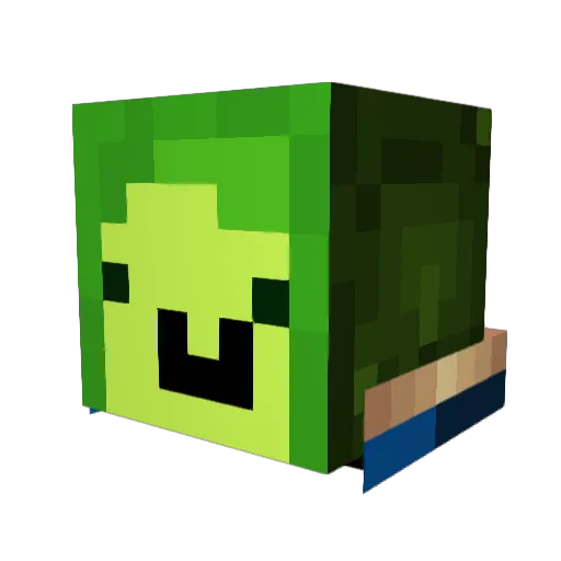 Rich_Avocado Minecraft avatar head, 3D render
