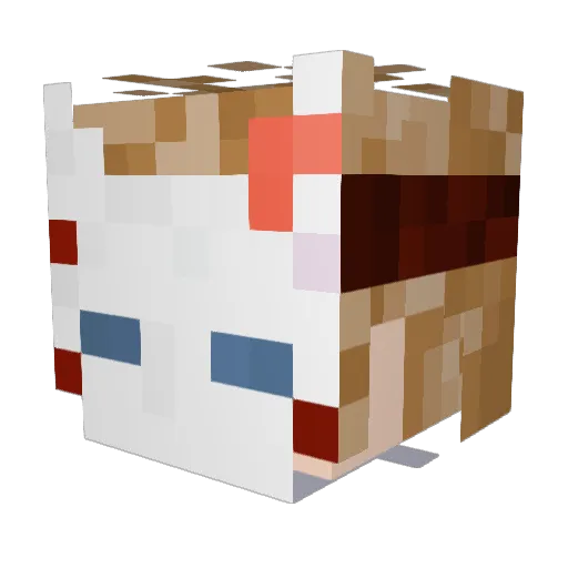 Rich_Fandango Minecraft avatar head, 3D render