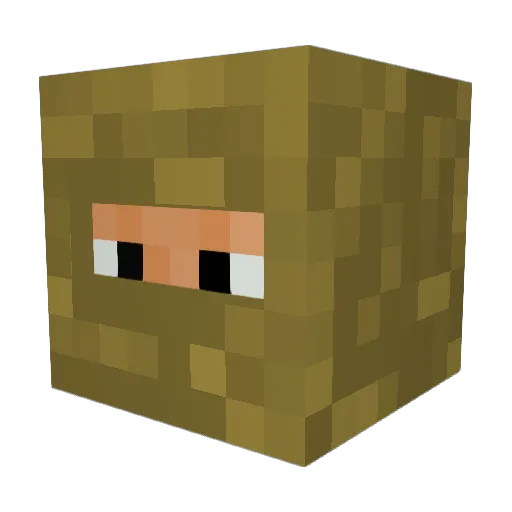 Richard1992 Minecraft avatar head, 3D render