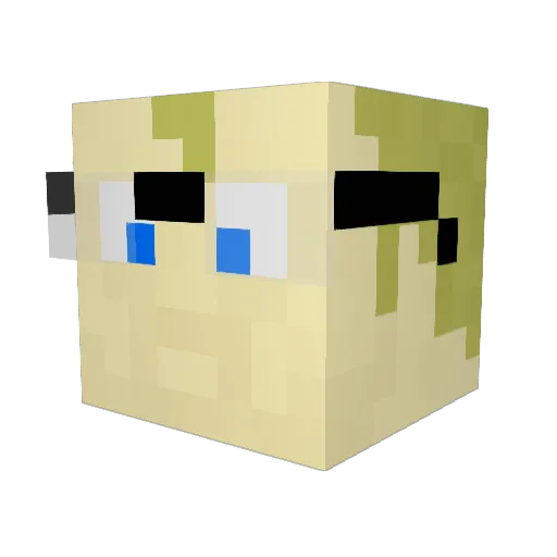 Minecraft-Avatar von Richard: Kopf als 3D-Render