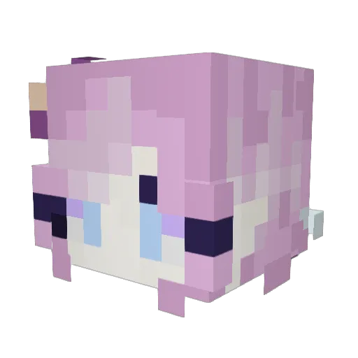 RichardFance Minecraft avatar head, 3D render