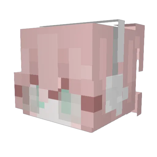 Richard_231 Minecraft avatar head, 3D render
