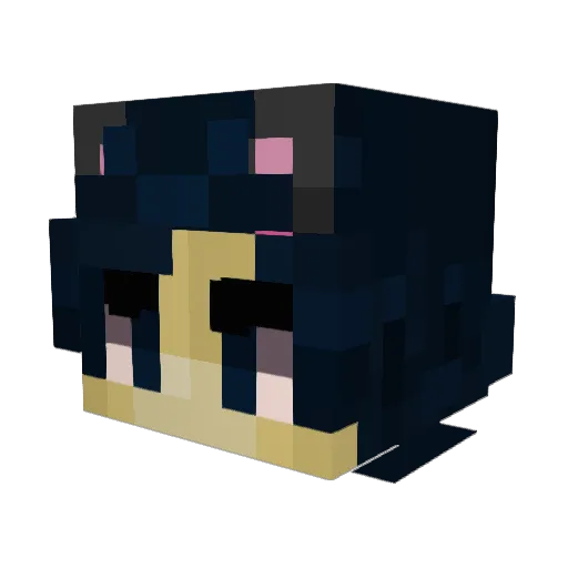 Richarddac Minecraft avatar head, 3D render