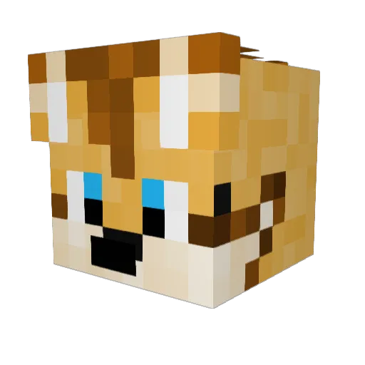 RichartWolfy Minecraft avatar head, 3D render