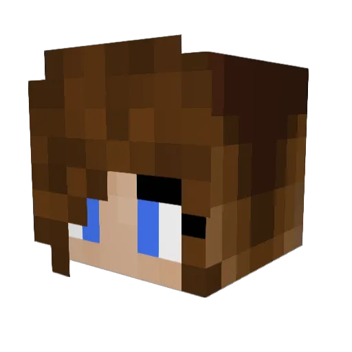 Richaz320G Minecraft avatar head, 3D render