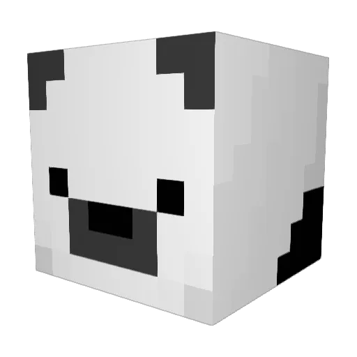 Richi_26 Minecraft avatar head, 3D render