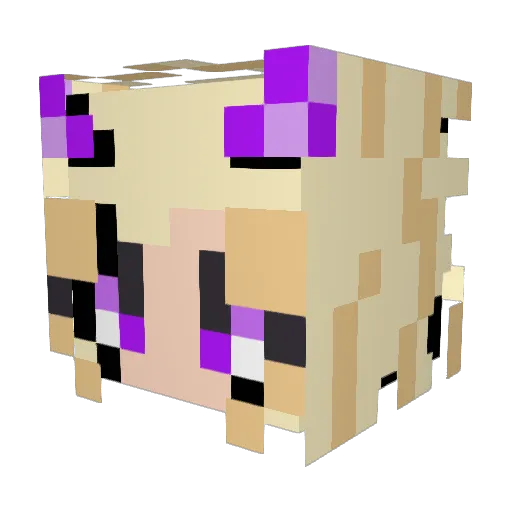 RichieProGamer Minecraft avatar head, 3D render