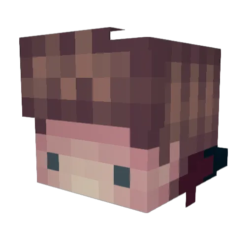 Richtiger Minecraft avatar head, 3D render