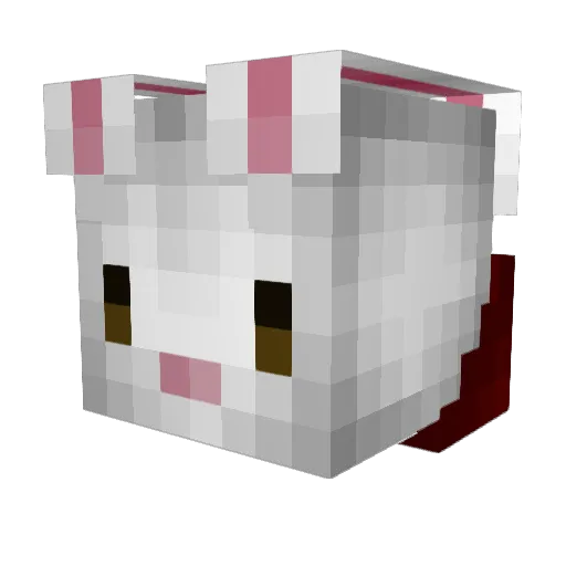 RichtigerHase Minecraft avatar head, 3D render