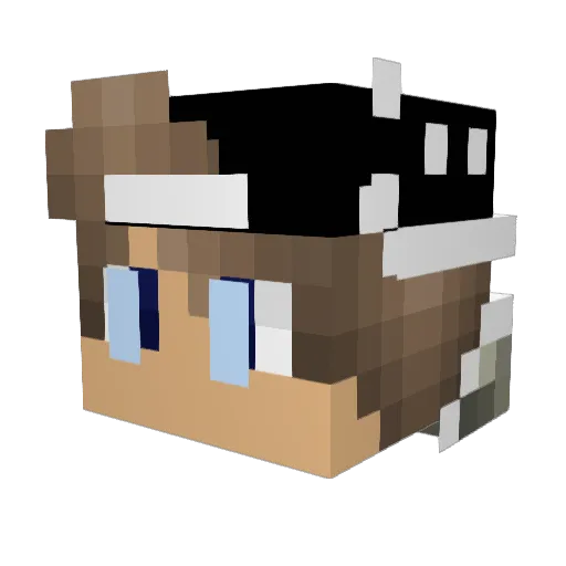 Richtiger_Dome Minecraft avatar head, 3D render