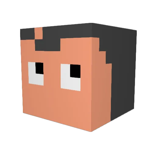 Richwai Minecraft avatar head, 3D render