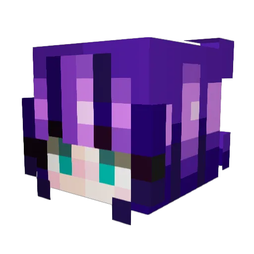 Richy_ZS Minecraft avatar head, 3D render