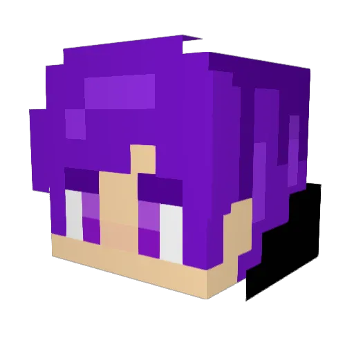 Richybo091 Minecraft avatar head, 3D render