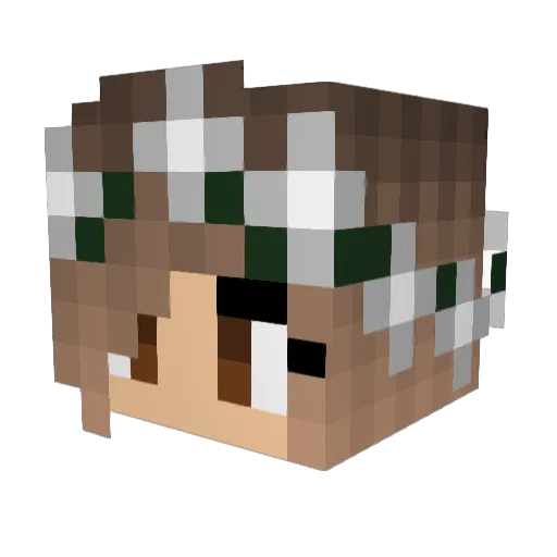 Rici03 Minecraft avatar head, 3D render