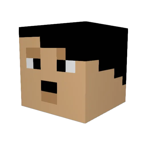 Rici2009 Minecraft avatar head, 3D render