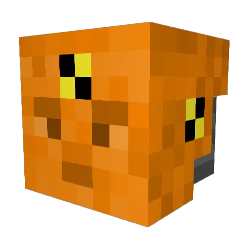 RickBear26 Minecraft avatar head, 3D render