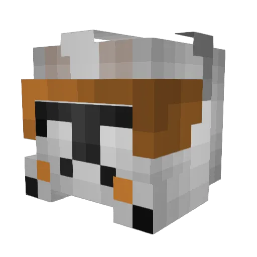 RickHarrison1321 Minecraft avatar head, 3D render