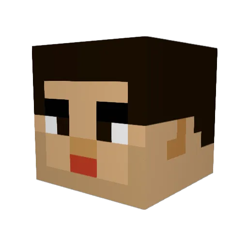 RickSalix Minecraft avatar head, 3D render