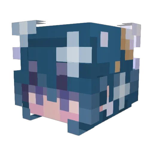 RickSanchez47 Minecraft avatar head, 3D render