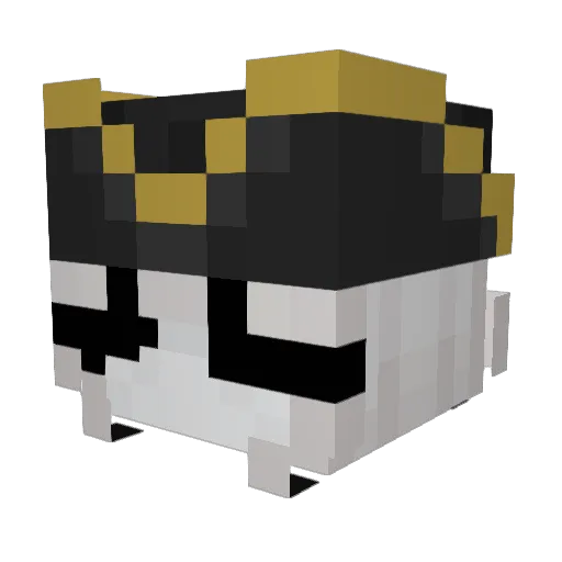 RickaPL Minecraft avatar head, 3D render