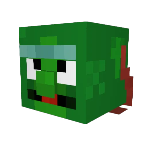 Rickc1372 Minecraft avatar head, 3D render