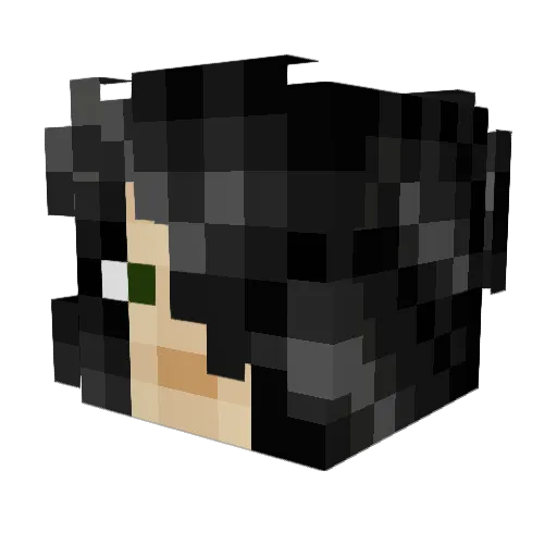 Rickenbacker4001 Minecraft avatar head, 3D render