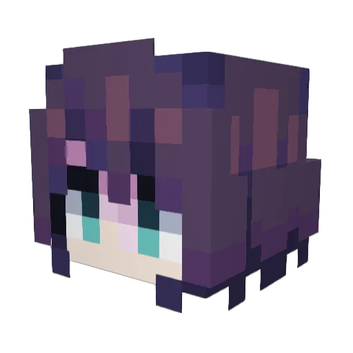 Rickey233 Minecraft avatar head, 3D render