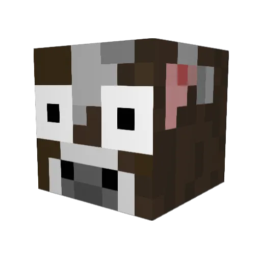 RicklePicky Minecraft avatar head, 3D render