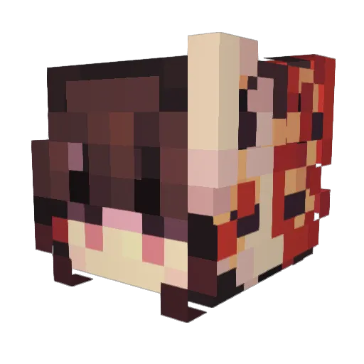 Rickmaster2007 Minecraft avatar head, 3D render