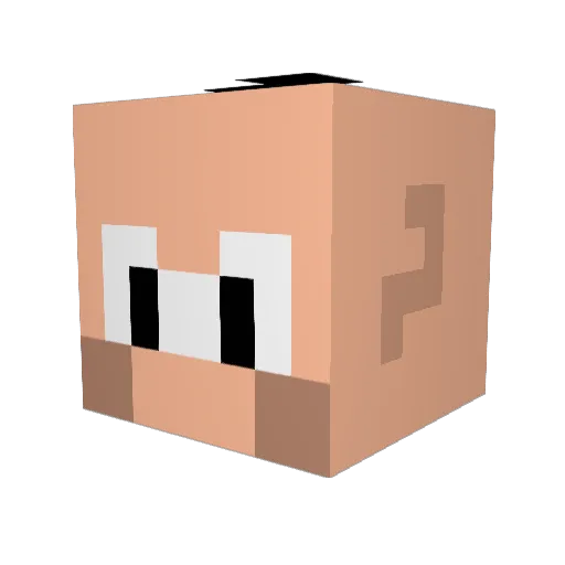 RicksPlay Minecraft avatar head, 3D render